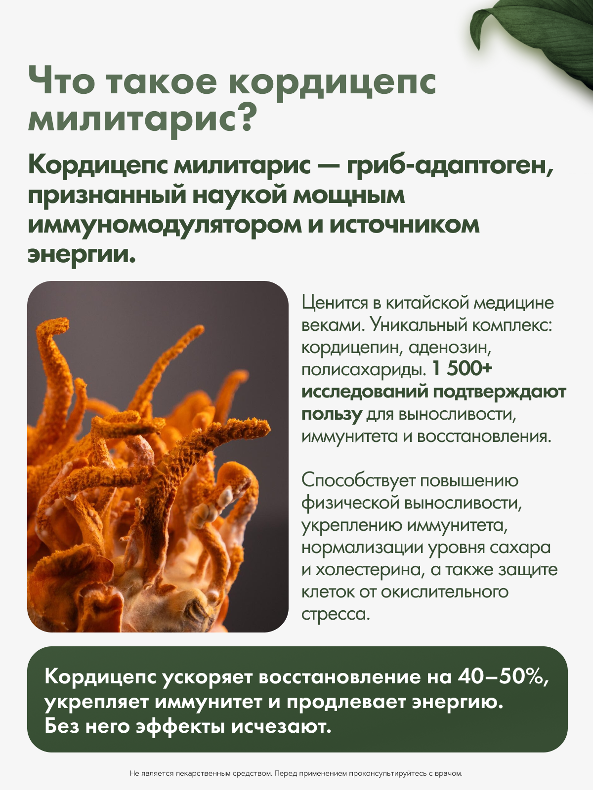 Restartbio, Кордицепс милитарис, капсулы, 90 шт.