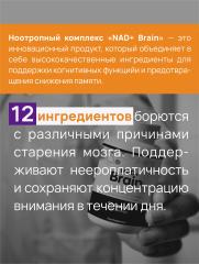 NMN BIO, NAD+ Brain Формула, капсулы, 90 шт.