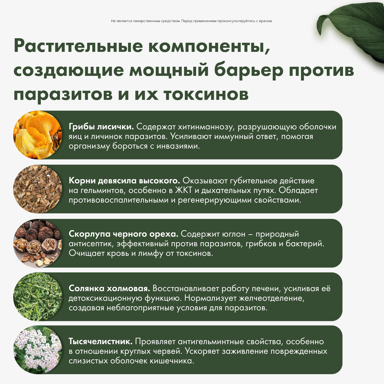 Restartbio, Паразит-Актив 2, капсулы, 60 шт.