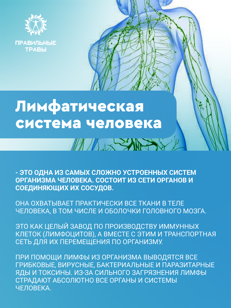 Правильные травы, Лимфодренажный сбор, 10*10 г