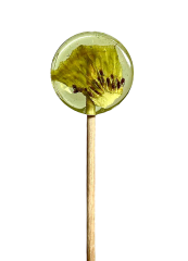 Lollipops, Леденец на палочке из изомальта с сублимированным киви, 1 шт.