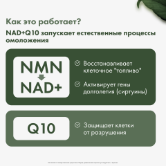 Restartbio, NMN + Q10 (продление молодости), капсулы, 60 шт.