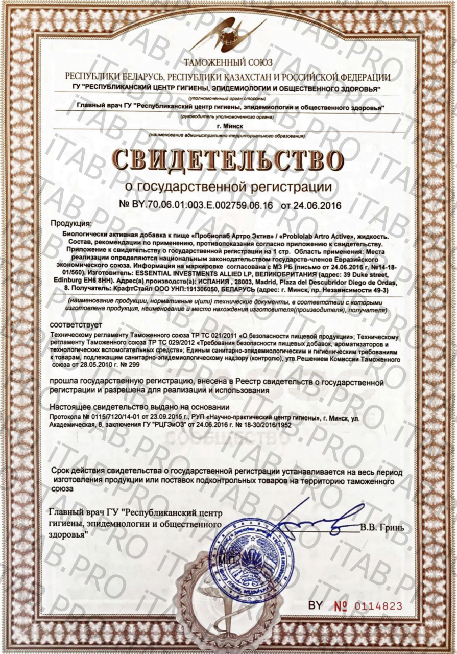 Probiolab, Артро Актив (для суставов и связок), жидкость, 250 мл