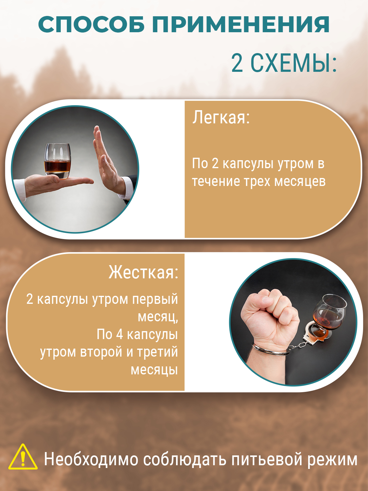 Фунго-Ши, Гриб «Копринус» (для борьбы с алкогольной зависимостью), капсулы, 60 шт.
