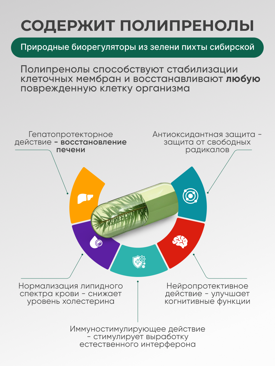 Солагифт, Bioeffectives Abieprenols 10 (для защиты печени, сердца и мозга), капсулы, 60 шт.
