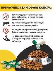 Алтайские традиции, Витаминный комплекс для собак «Блестящая шерсть», капсулы, 60 шт.