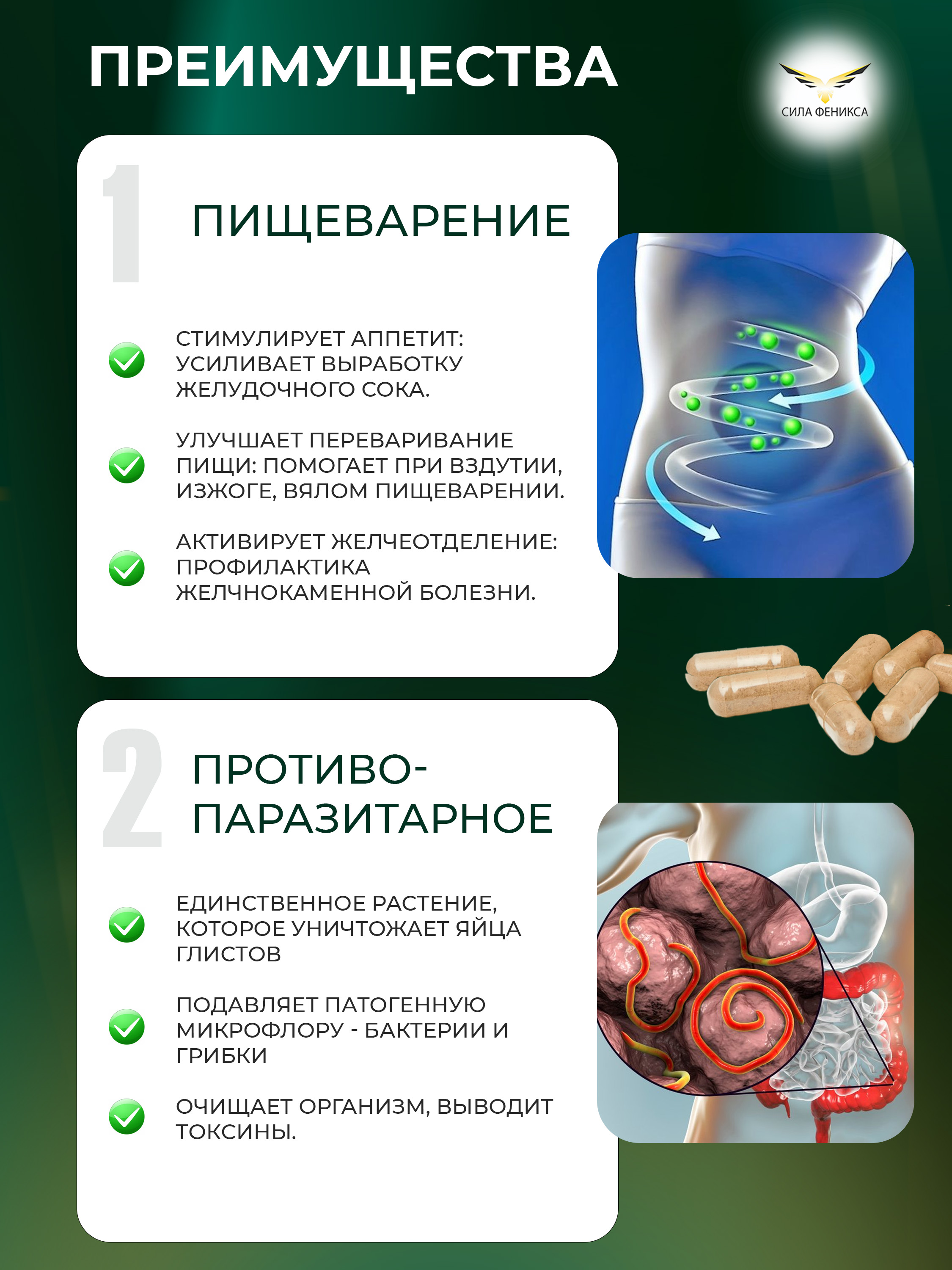 Сила феникса, Полынь в капсулах (90 капсул)