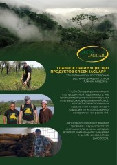 Green Jaguar, Иммуно Планта (растительный комплекс противовоспалительного и антибактериального действия), капсулы, 120 шт.