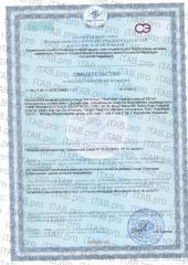 FAME, БиПоллен (антиоксидантный эффект), капсулы, 60 шт.