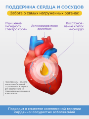 Солагифт, Bioeffectives, АбипренОйл (концентрат полипренолов), жидкость, 30 мл