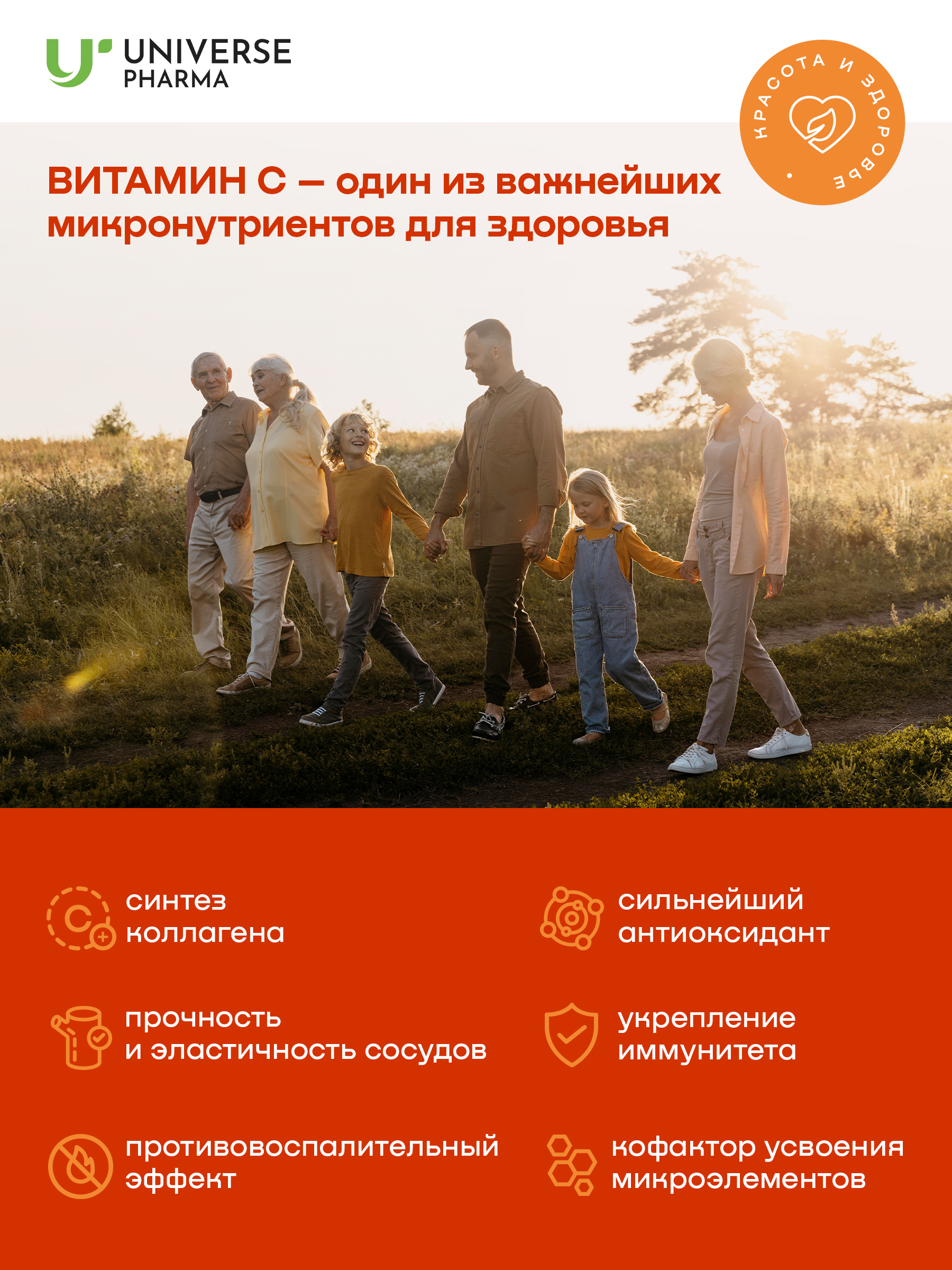 Universe Pharma, Липосомальный витамин C, жидкость, 20*10 мл