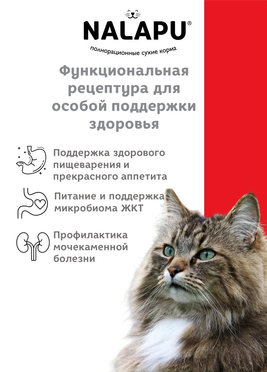 NALAPU, Сухой корм для взрослых кошек The Best appetite Sterilized, с говядиной и курицей, 1200 г
