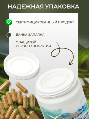 Сила феникса, Исландский мох, капсулы, 90 шт.