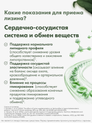 RestartBio, L-лизин, капсулы, 120 шт.