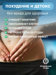 Правильные травы, Сбор для похудения, 10*10 г