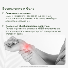 RestartBio, Глюкозамин, хондроитин и МСМ, капсулы, 120 шт.