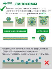 Алтай Простые решения, Комплекс «Липосомальный кальций, магний, цинк», капсулы, 60 шт.