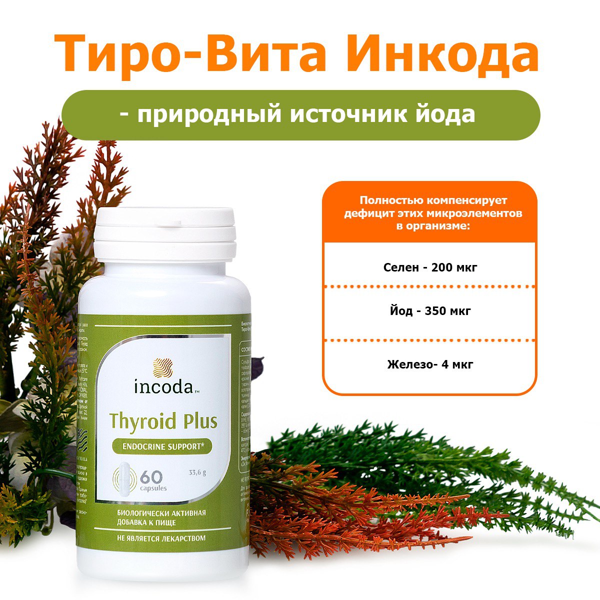 Incoda, Тиро-Вита (йод, железо, селен), капсулы, 60 шт.