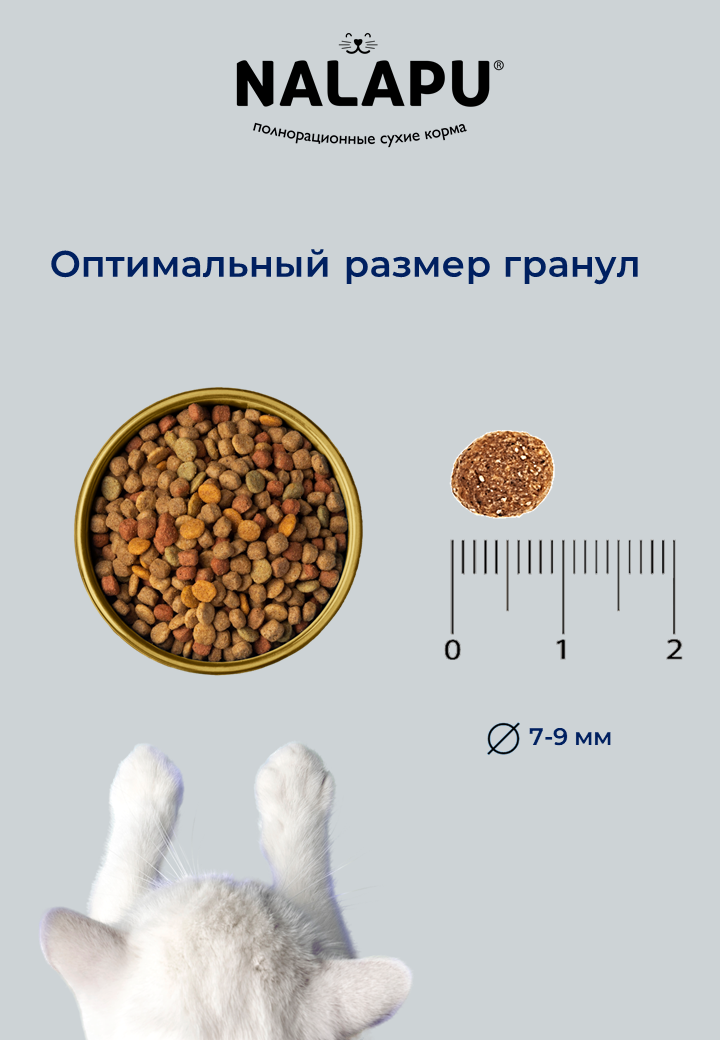 NALAPU, Сухой корм для взрослых кошек The Best appetite Sterilized, с говядиной и курицей, 1200 г