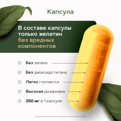 Restartbio, Куркумин Extract c пиперином, капсулы, 90 шт.