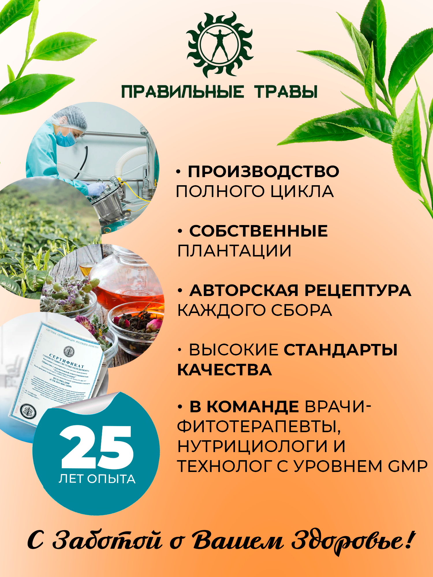 Правильные травы, Энергетический (митохондриальный) сбор, саше, 10*10 г