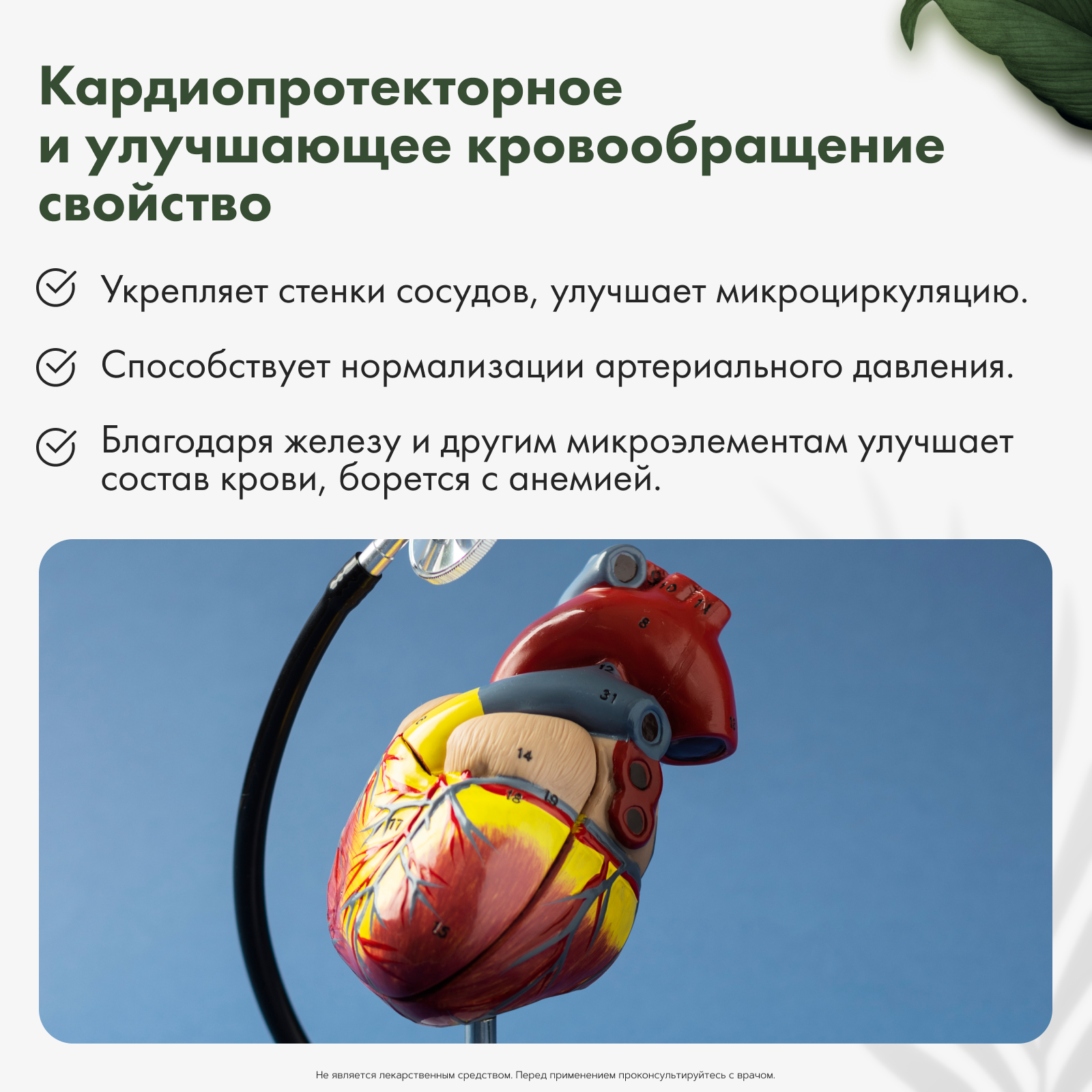 Restartbio, Клеточный сок пихты сибирской, жидкость, 30 мл