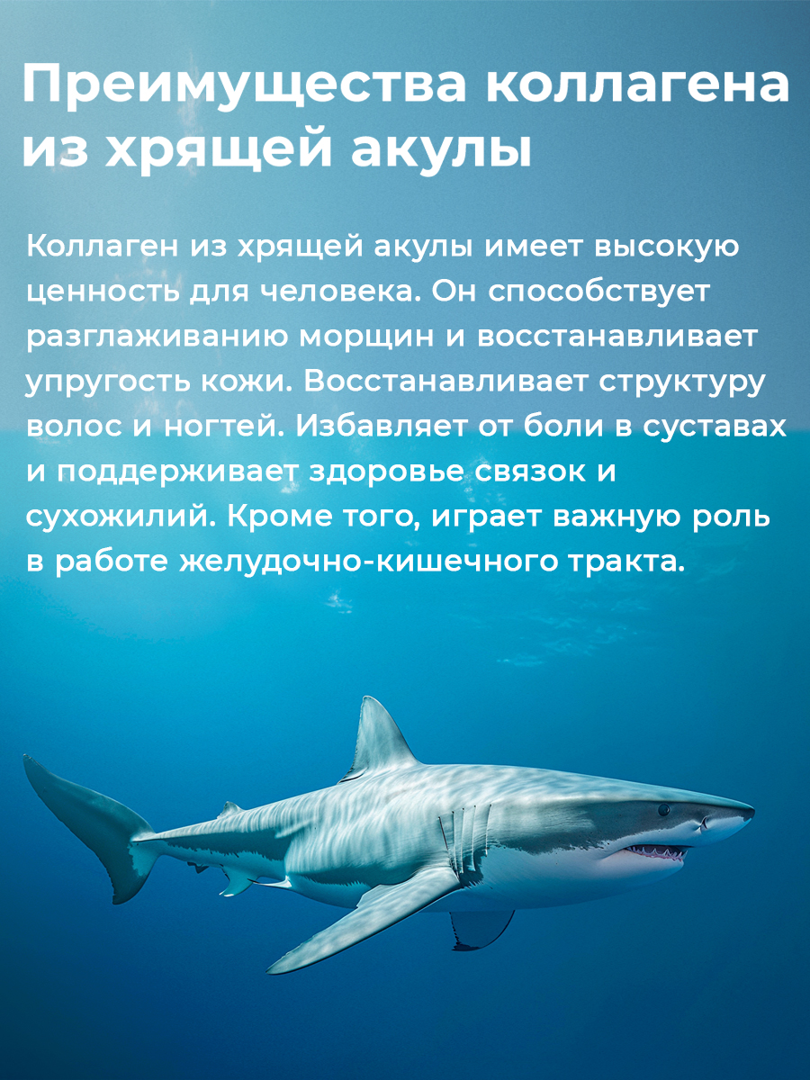 KENKO, Коллаген морской из хрящей акулы (комплекс для укрепления связок и суставов), таблетки, 120 шт.