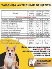 Алтайские традиции, Витаминный комплекс для собак «Блестящая шерсть», капсулы, 60 шт.
