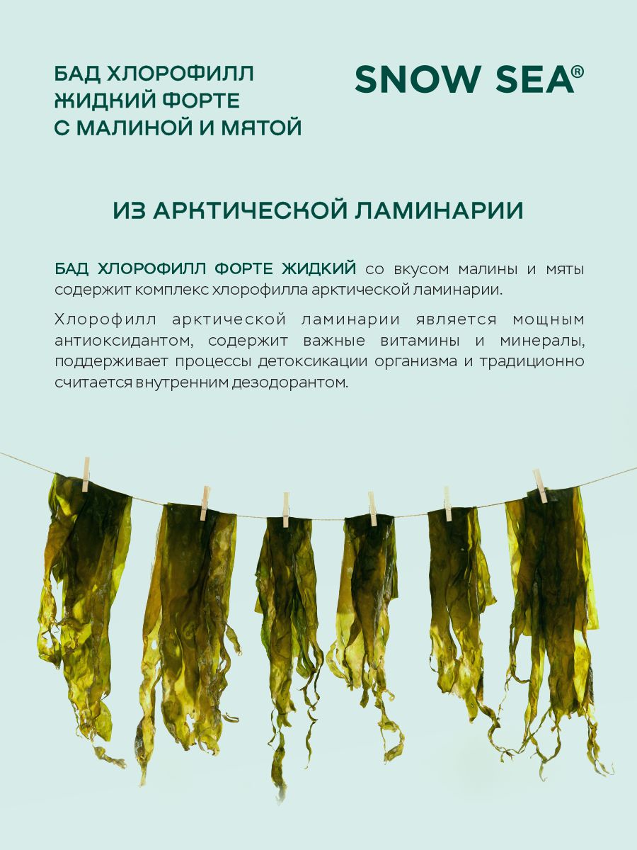 SNOW SEA®, Хлорофилл жидкий со вкусом мяты и малины (для детокса и похудения), жидкость, 450 мл