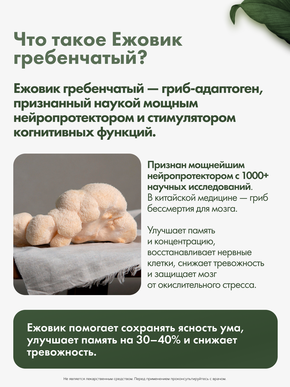 Restartbio, Ежовик гребенчатый, капсулы, 90 шт.