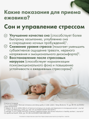 Restartbio, Ежовик гребенчатый, капсулы, 90 шт.