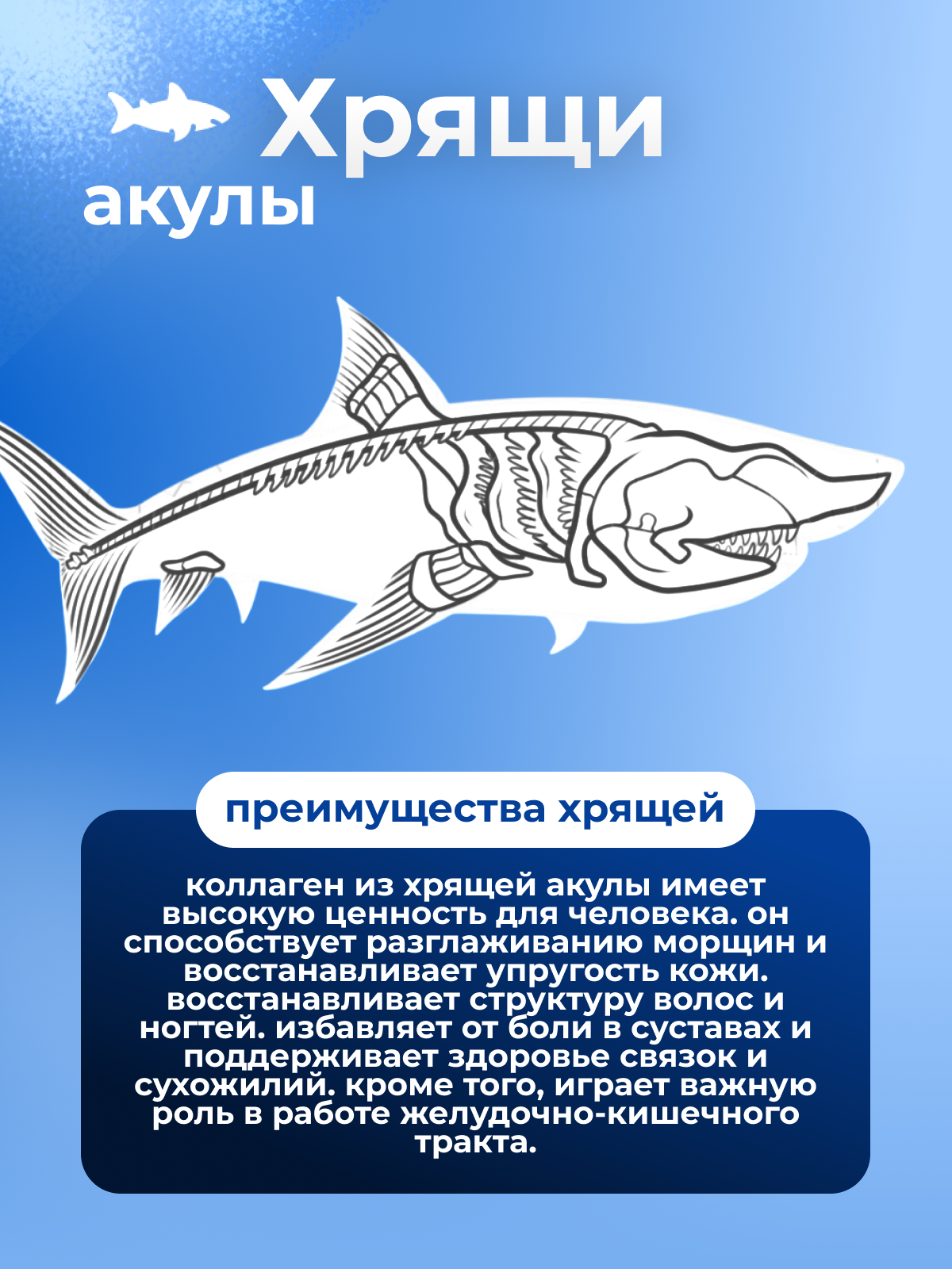 KENKO, Коллаген морской из хрящей акулы (комплекс для укрепления связок и суставов), саше, 30*2 г