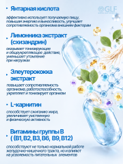 Green Leaf Formula, Метабиотик для кишечника + L-карнитин + ферменты, капсулы, 60 шт.