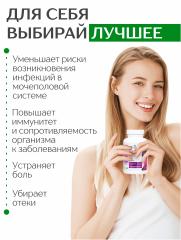 Алтай Простые решения, Для почек с экстрактом клюквы и листьями брусники, капсулы, 60 шт.