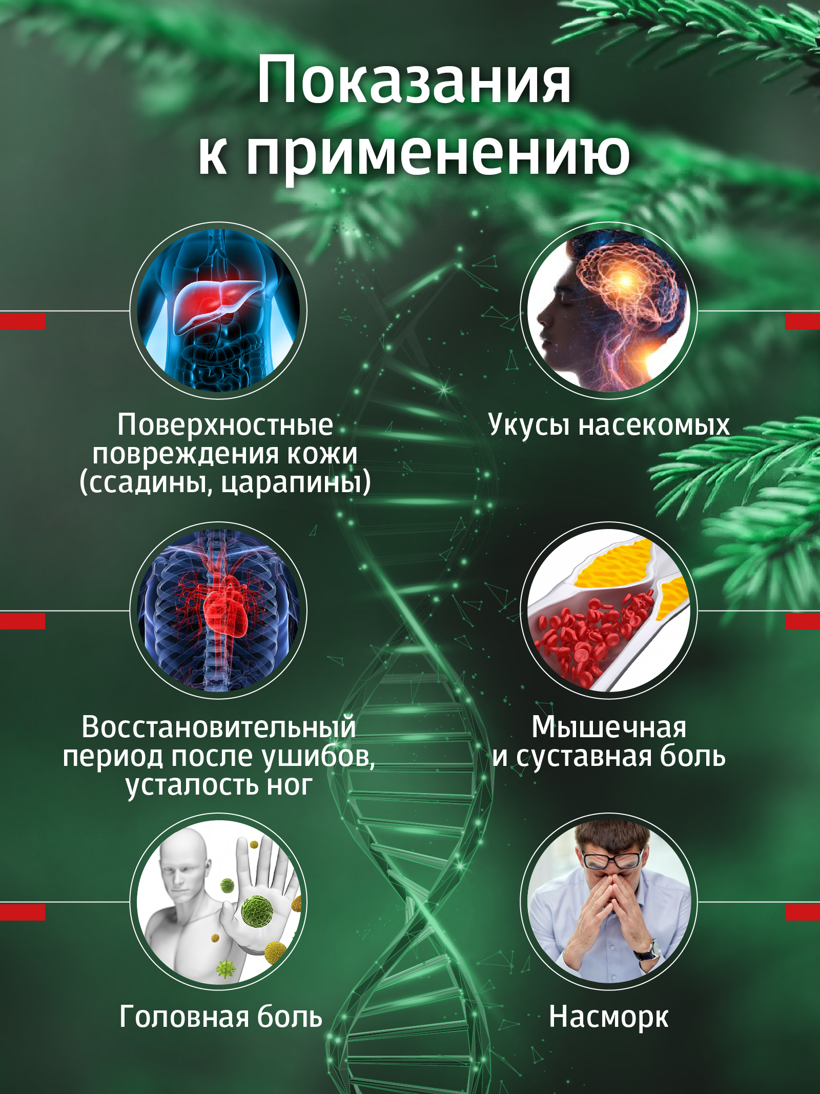 Солагифт, Крем-бальзам «Сибирская легенда», крем, 15 г