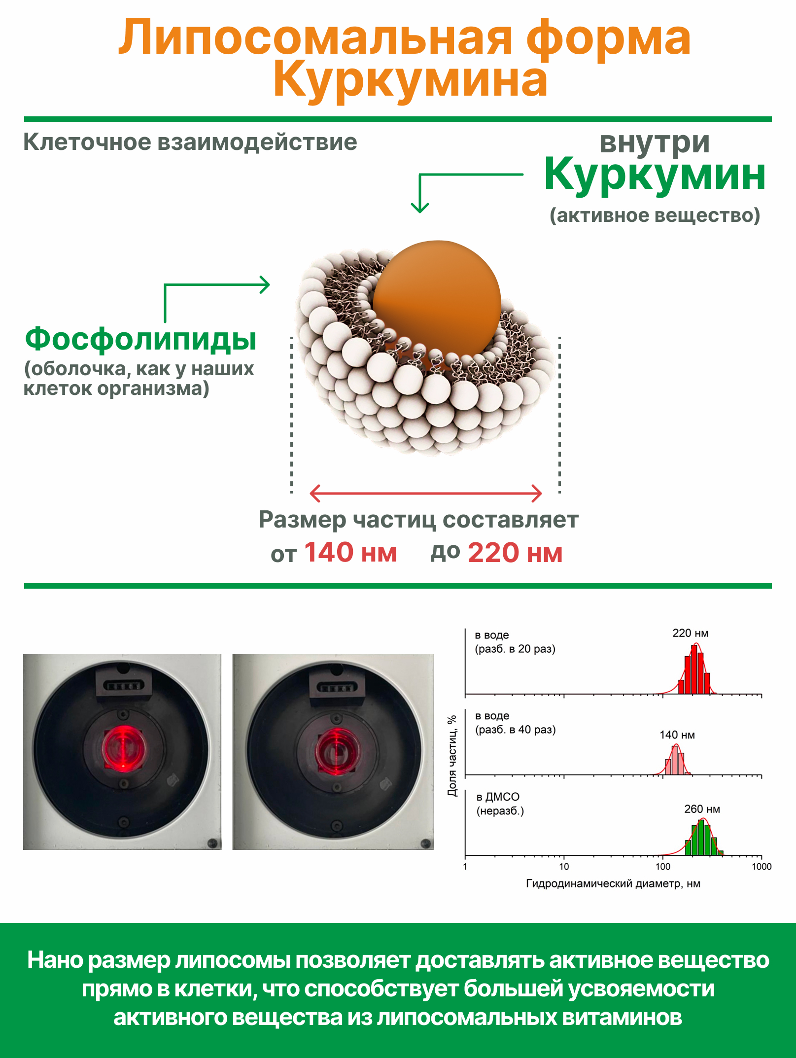 Алтай Простые решения, Комплекс для печени Липосомальный куркумин с силимарином, капсулы (веган), 60 шт.