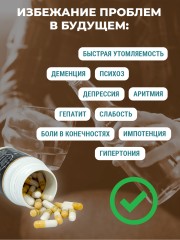 Фунго-Ши, Гриб «Копринус» (для борьбы с алкогольной зависимостью), капсулы, 60 шт.