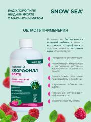 SNOW SEA®, Хлорофилл жидкий со вкусом мяты и малины (для детокса и похудения), жидкость, 450 мл