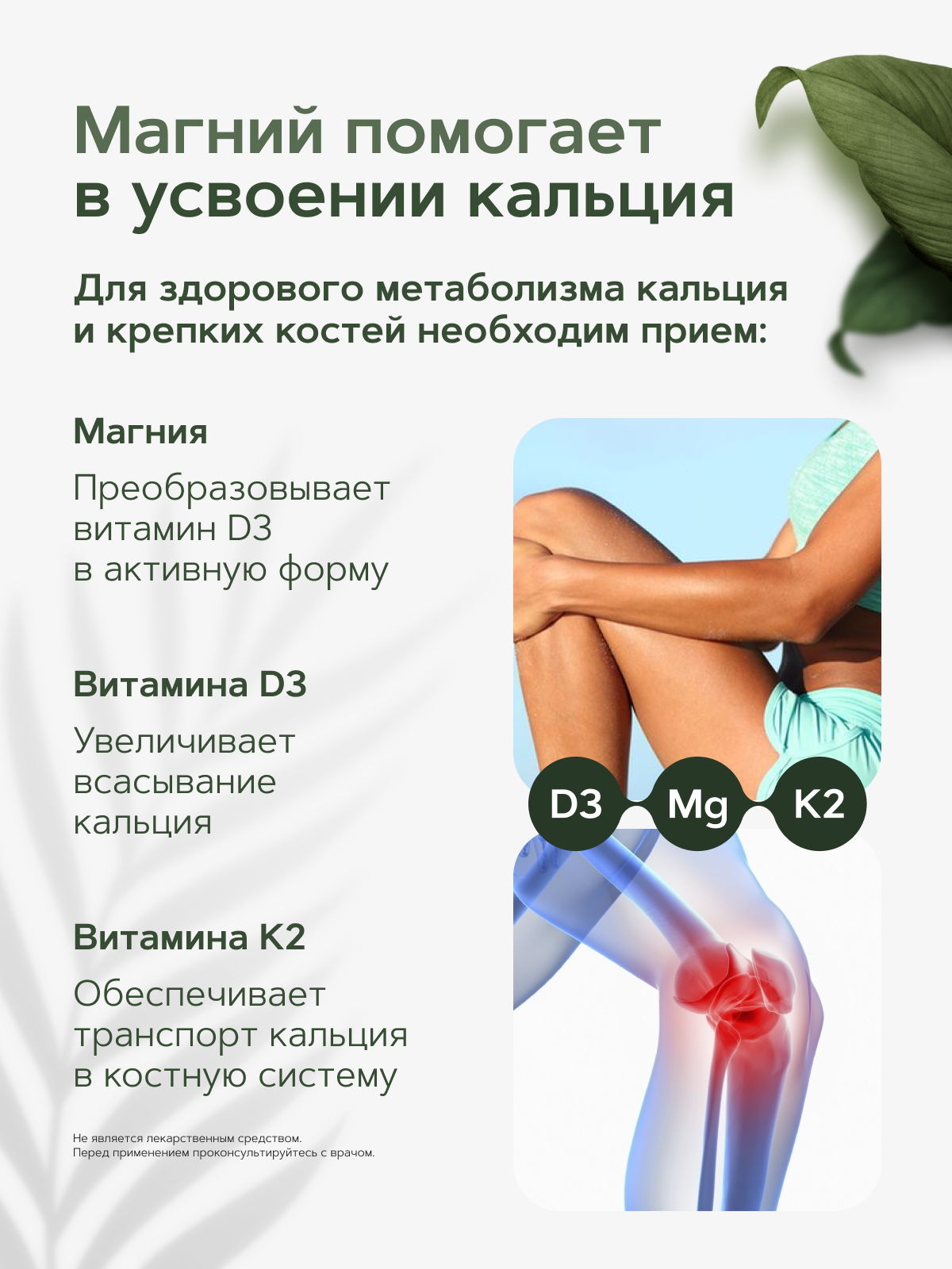 Restartbio, Магний (бисглицинат) + B6 (P-5-P), капсулы, 240 шт.