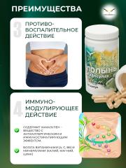 Сила феникса, Полынь в капсулах (90 капсул)